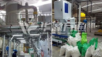 Thailand Mung Bean Cleaning and Peeling Line Installation