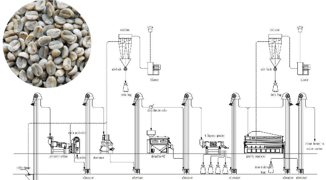 Coffee Beans Cleaning Project ቡና ማጽጃ/መልቀሚያ ማሽኖች