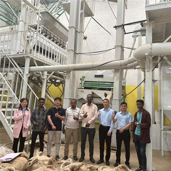 Win Tone Machinery Helps Ethiopia Establish 120-Ton Coffee Bean Cleaning Production Line