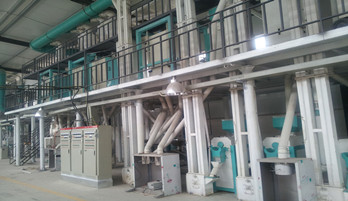 soybean cleaning line.jpg