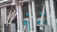  80T/Day Soybean Cleaning Line in Egypt