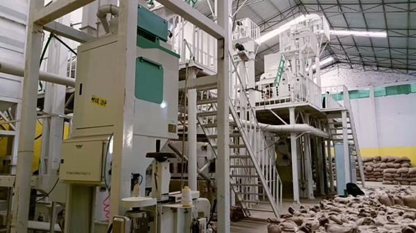 coffee bean processing equipment