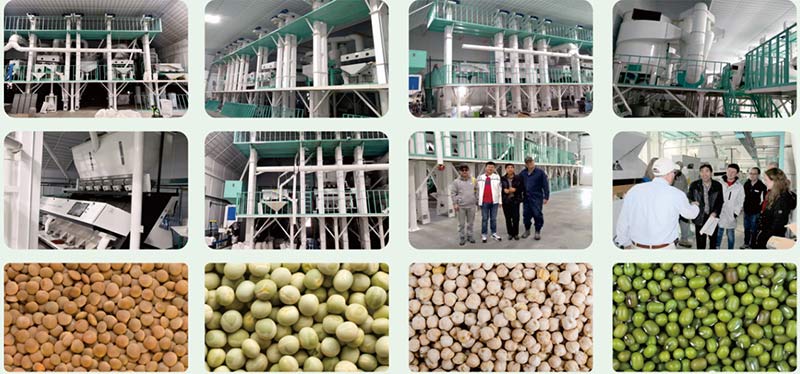Grain and Seed Cleaning Machines