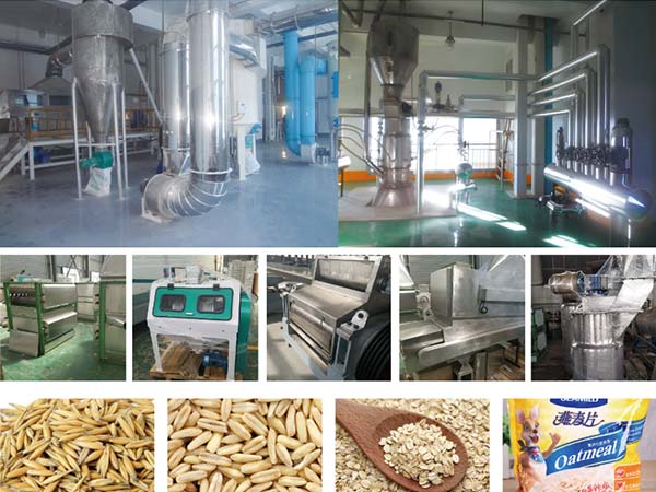grain processing equipment