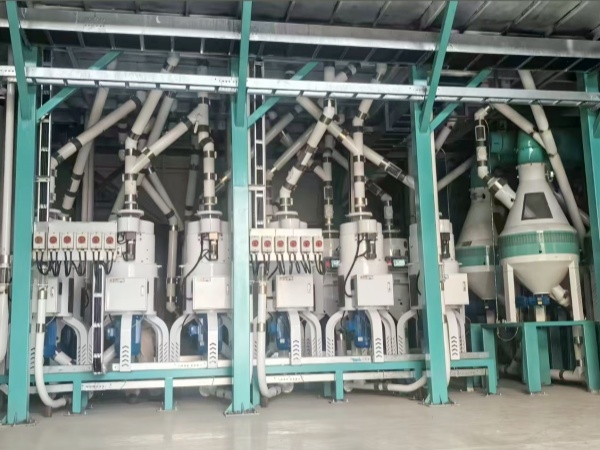 80TPD Buckwheat Hulling and Grading Plant