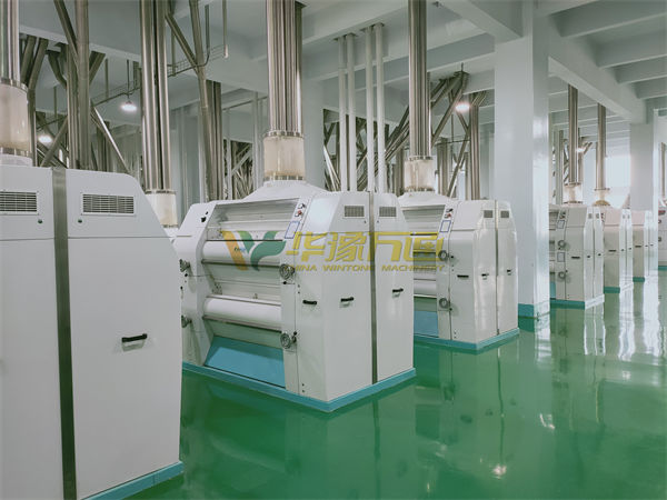 maize corn processing equipment and solutions