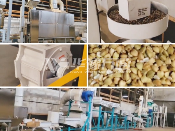 Poland Sweet Buckwheat Hulling and Milling Line