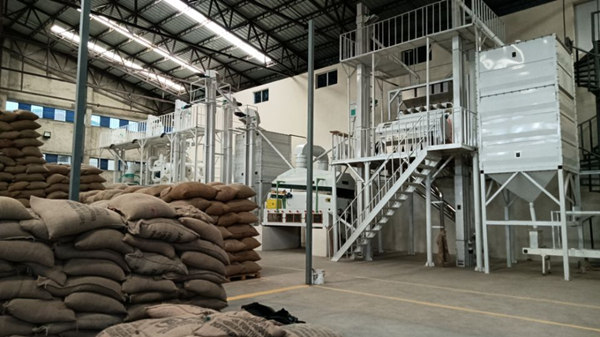 Coffee Bean Cleaning, Sorting, and Grading Machine