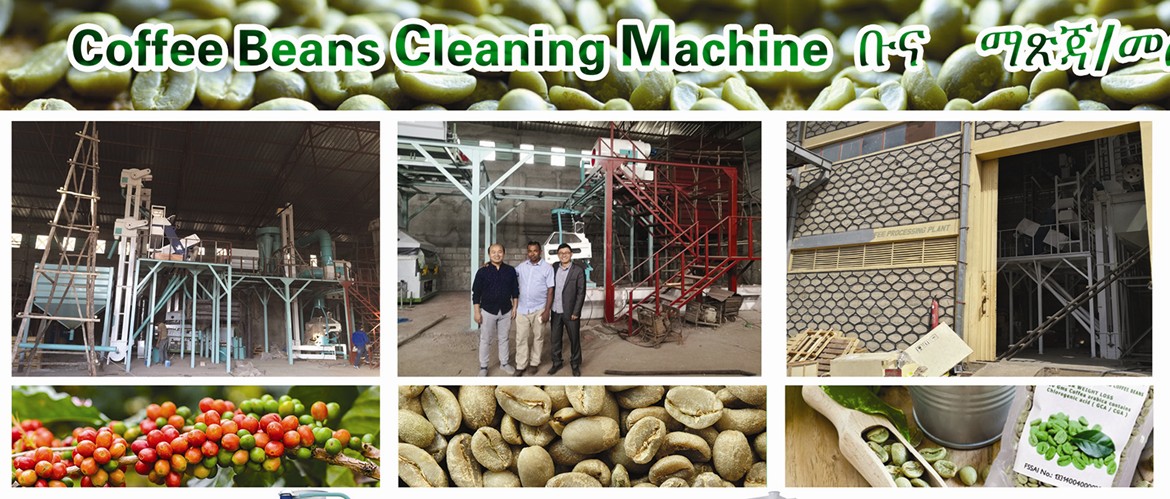 Green Coffee Bean Processing System አረንጓዴ ቡና ማቀነባበሪያ ስርዓት