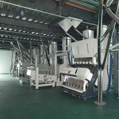 Green Coffee Bean Processing Line አረንጓዴ ቡና ማቀነባበሪያ መስመር