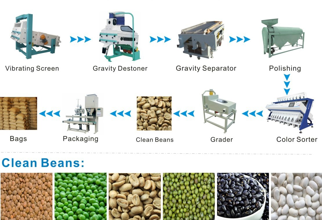 Green Coffee Bean Processing Line አረንጓዴ ቡና ማቀነባበሪያ መስመር