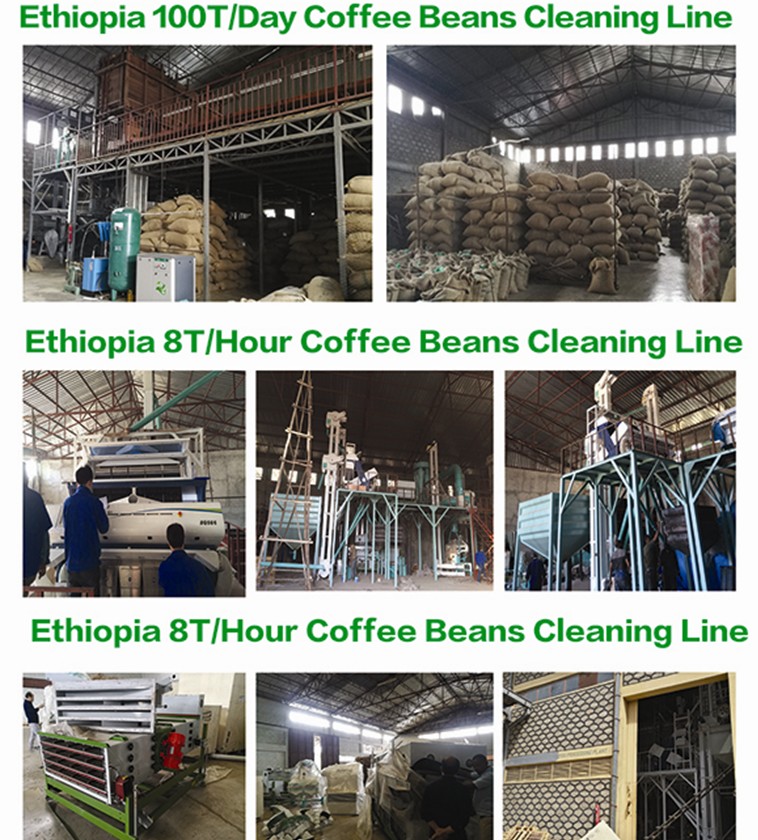 Green Coffee Bean Processing System አረንጓዴ ቡና ማቀነባበሪያ ስርዓት